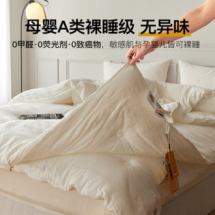 Winter high-end Class A cotton quilt 99% soybean fiber quilt spring and autumn quilt core thickened warm winter quilt four seasons universal