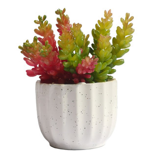 Simulated Succulent Potted Plants, Grape Fruits, Succulent Flowers, Desktop Potted Plants, Small Ornaments, Bonsai Flower Arrangements and Materials