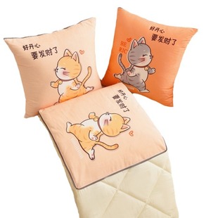 Multifunctional two-in-one crystal velvet brushed multi-needle Four Seasons pillow quilt car dual-purpose pillow cover quilt air conditioning quilt