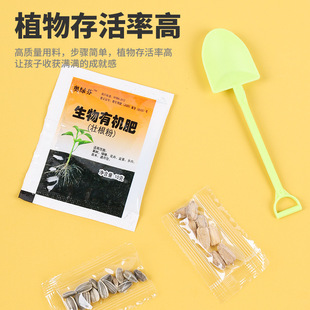 Creative School experimental teaching diy cultivation germination mini green plant planting Arbor festival potted plant students observation plant