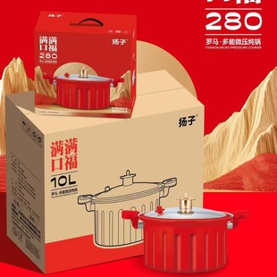 Новый Yangzi Roman Pot для дома многофункциональный суп большой емкости