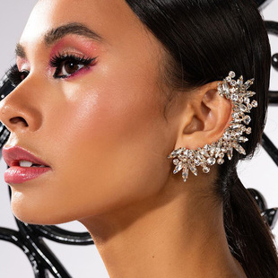 AliExpress Explosions Irregular Rhinestone Ear Clip Fashion Luxury Horse Eye Full Diamond earrings European and American Accessories earrings