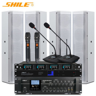 Lion Av-106+Bx-406 Small and Medium-Sized Conference Room Speaker Amplifier Set Classroom Wall-Mounted Audio U-Segment Microphone