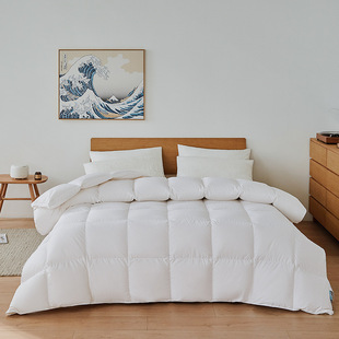High-end five-star hotel cotton 95 White Goose duvet core warm fluffy single double light winter quilt spring and autumn quilt