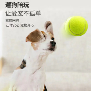 Dog Toy Ball Resistant Ball Edge Fund Hair Fun Walking Dog Training Dog Molar Elastic Puppy Pet Dog Training Tennis Resistant