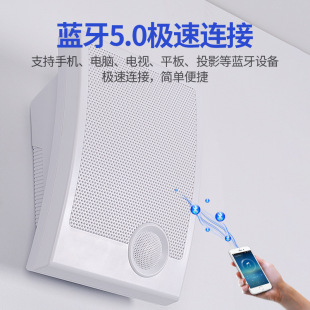 Store Wireless Bluetooth wall-mounted audio multi-function with remote control shop background music wall-mounted speaker collection speaker