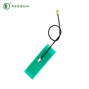 GSM 3g 2g GPRS 5g LTE Built-in PCB FPC Antenna