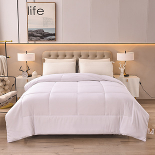 Jiaerxin Hotel Quilt Core Отель Проживание в семье Постельные принадлежности Четыре сезона Одеяло Отель Студент утолщенное шлифовальное одеяло Сердечник
