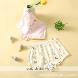 Children's Underwear Girls' Shorts 2024 New Little Girl Boxers Baby Girl Cartoon Boxer Underpants