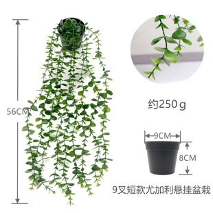 Cross-border Simulation Eucalyptus Rattan Eucalyptus Leaves Mandala Pea Hanging Potted Plant Green Plant Scrub Decorative Bonsai