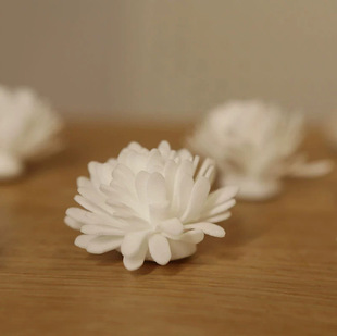 Source Factory Simulation Immortal Chrysanthemum PE Foam Chrysanthemum Aromatherapy Simulation Melaleus Chrysanthemum Head Aromatherapy Accessories