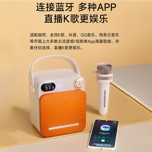 Wanderer (EDIFIER)PP203 mini karaoke speaker portable portable bluetooth speaker ktv stereo