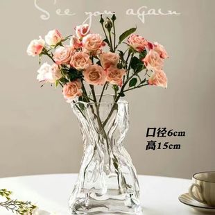 Advanced Sense Simple Creative Irregular Vase Transparent Glass Living Room Desktop Flower-arranging Water-keeping Ins Decorative Ornaments