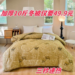 Special Offer Camel Hair Quilt Winter Quilt Thickened Warm Camel Hair Quilt Core Single Double High-grade Quilt Student Dormitory Spring and Autumn Quilt
