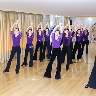 Body Etiquette Training Clothing Dance Practice Clothing suit Female Adult Net Sleeve Middle Sleeve Elegant Training Dance Clothing