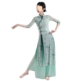 Classical dance cheongsam dance 2025 new shape body rhyme gauze clothing practice clothing adult female dance clothing performance clothing suit