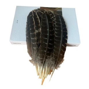 Turkey feather feather nest feather arrow feather turkey feather DIY handmade arrow accessories 20-35cm