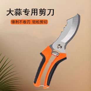 Wholesale Garlic Scissors Agricultural Scissors Garlic Artifact Cut Garlic Root Garlic Onion Welsh Onion Seedling Roots Big Head Scissors Farm Tools