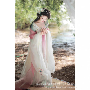 Hanfu [Голландская красавица] Hanfu Женская вышивка с большими рукавами в Северной и Южной династиях