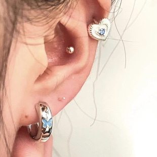 Blue Butterfly Earrings Women's Niche High-end Sense Exquisite Sweet Cool Ear Buckle Ear Ring Fashion Unique Simple Ear Clip
