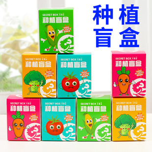 Fun Mini Small Potted Blind Box Desktop Green Planting Children's Student Office Worlds Planting Good Lazy Flower Blind Box