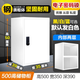 Stainless Steel Food Additive Cabinet Single Door Iron Small File Cabinet Password Storage Box Storage Cabinet with Lock