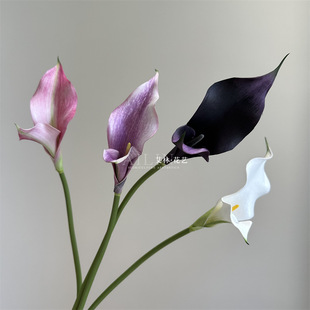 Single Branch Double Flap Calla Artificial Flower Twin Alocarum EVA Niche Flower Material Home Soft Chinese Style Wedding Pendulum