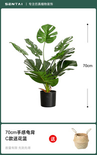 Bamboo turtle-backed small potted plant, piano leaf, banyan fake Nordic style decoration, green plant ornaments, decorative flowers, green plant, free shipping