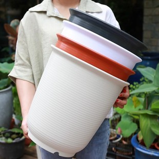 New high-grade environmental protection resin flowerpot thickened anti-ceramic flowerpot flowerpot plastic fleshy green rose balcony small flowerpot