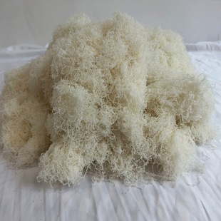 Wool wool flower jewelry moss moss lawn turf soft landscape plant wall door shop accessories color