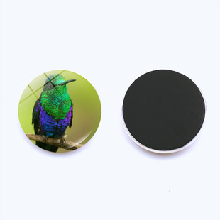 Animal birds hummingbird refrigerator stickers crystal glass soft magnetic whiteboard patch magnetic stickers home decorations 25mm