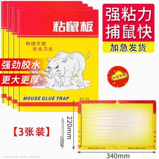 Mouse Trap Adhesive Board for Large Mice, Household Mouse Stickers, Mouse-Catching and Extermination Tools, Mouse Sticky in Stock Wholesale