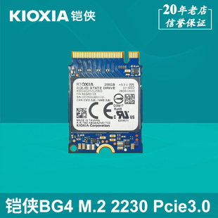 Броня BG4 256G M.2 2230 Твердотельный накопитель NVME Steamdeck портативный расширяющий консоль SSD
