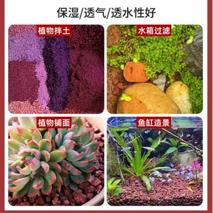 Volcanic Stone Particles Aquarium Filtered Orchid Fleshy Plant Material Substrate Nutrient Soil Pavement Stone Landscape Organic Mulch