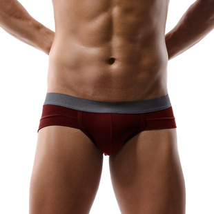 Men's Underwear Men's Briefs U Convex Bag Sexy Breathable Summer Thin Youth White Low Waist Bottom Pants
