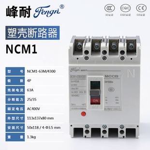 Fengnai 3P/4P Ac 63A Plastic Case Circuit Breaker Air Switch Short Circuit Overload Protection Air Switch Mccb Automatic