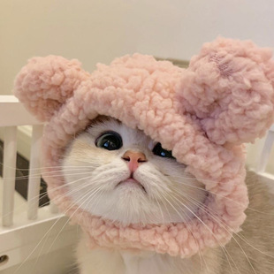 Котенок шляпа домашнее животное плюшевый капюшон короткая милая кошка маленькая собака собака фото фото головная уборка аксессуары