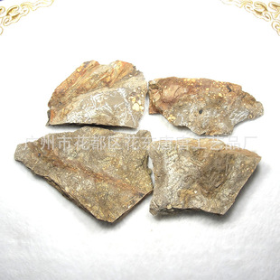Natural Western Liaoning fern fossil plant leaf stone specimen teaching collection Popular Science plant branch vein fossil ornaments