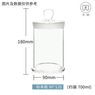 Plant Specimen Bottle Animal Pathology Seeds Transparent Round Display Bottle Pickled Wine Pickles Dried Goods Tea Storage Jar