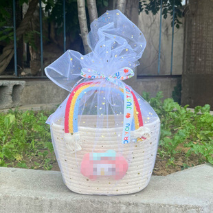 New Rainbow Straw Pudding Dog Handbag Ins Cute Mobile Phone Bag Grasp Machine Birthday Hand Gift Basket Gift Box
