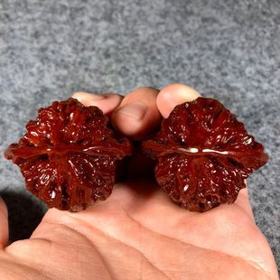 Wenwanhua грецкий орех щетка щетка с мякотью Yuhua грецкий орех официальная шляпа грецкий орех яблочный сад львиная голова грецкого ореха размер 40 ~ 48mm