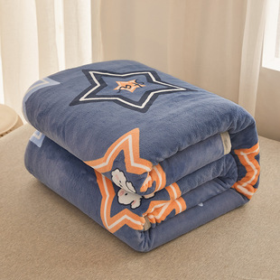 Cross-border Foreign Trade Super Thick Warm Raschel Blanket Blanket for Winter Thick Bed Blanket for Student Dormitory Single Blanket