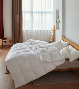 High-end five-star hotel cotton 95 White Goose duvet core warm fluffy single double light winter quilt spring and autumn quilt