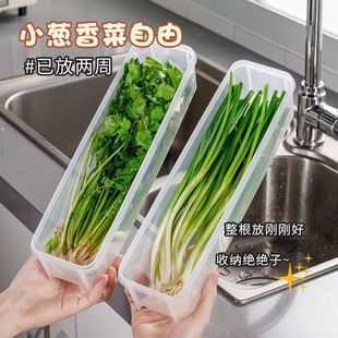 Коробка для хранения зеленого лука кориандра