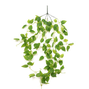 Amazon Cross-border Artificial Pothos Wall Hanging Rattan Vine Green Plant Wall Living Room Indoor Plant Leaf Decorative Wall