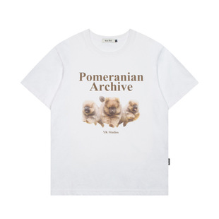 South Korea Niche Trendy Brand 2024ss New Waikei Short-sleeved Three Dogs T-shirt Loose Ins for Men and Women Couple