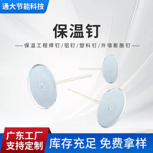 Guangdong factory aluminum nail welding nail glue nail exterior wall expansion insulation nail aluminum silicate glass wool rock wool extruded board special