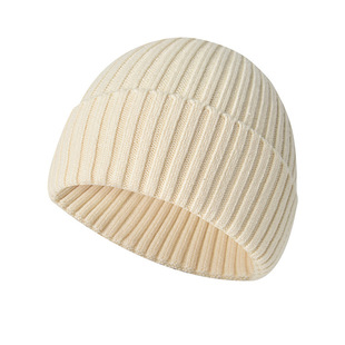 Cross-border in stock Winter Knitted Hat Couple Thickened Warm Wool Hat Baotou Cold Hat Casual Flanging Pullover Hat