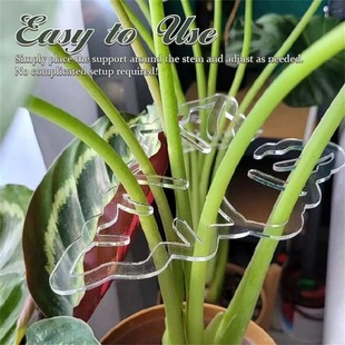 Various shapes of plant stands Flower-shaped plant support piles Indoor and outdoor plant growth Large turtle-backed bamboo branches
