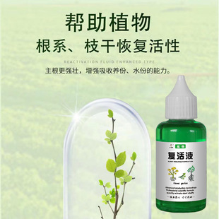 General-purpose plant-specific rapid resurrection activation liquid to promote buds, strong roots, fleshy green plant nutrient solution composite liquid plant